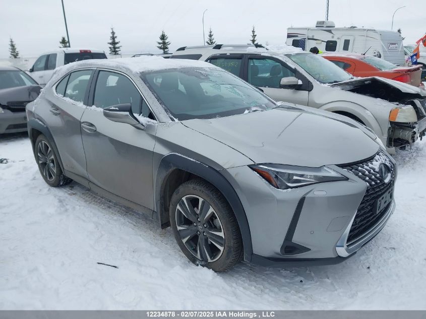 2020 Lexus UX250h