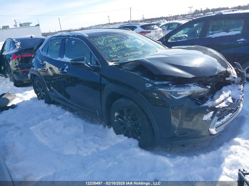 2020 Lexus UX250h