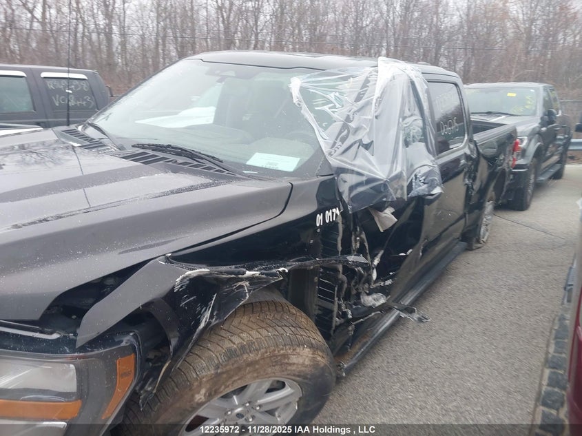 2023 Ford F150 Supercrew VIN: 1FTFW1E55PFB03117 Lot: 12235972