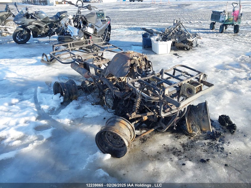 478TE1520RA604548 HONDA TRX300 Photo 1