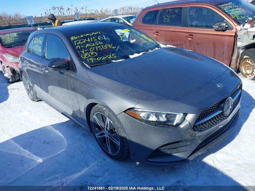 2019 Mercedes-Benz A-Class