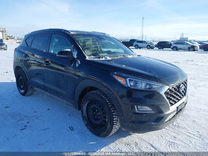 KM8J3CA43LU249920 2020 Hyundai Tucson Preferred Awd With Sun And Leather Package auction photo 1