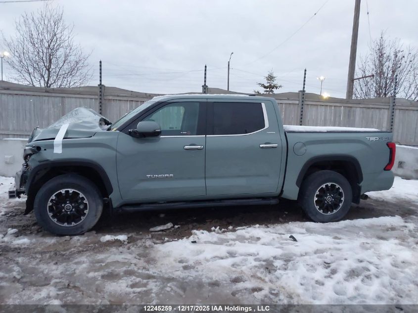 2024 Toyota Tundra Limited VIN: 5TFJA5DB1RX209889 Lot: 12245259