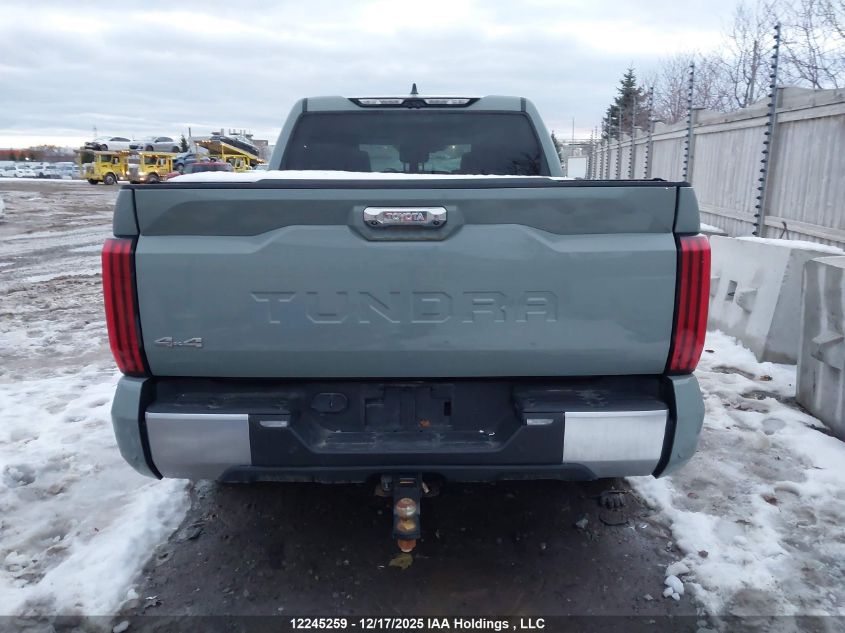 2024 Toyota Tundra Limited VIN: 5TFJA5DB1RX209889 Lot: 12245259