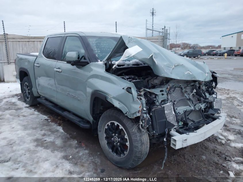 2024 Toyota Tundra Limited VIN: 5TFJA5DB1RX209889 Lot: 12245259