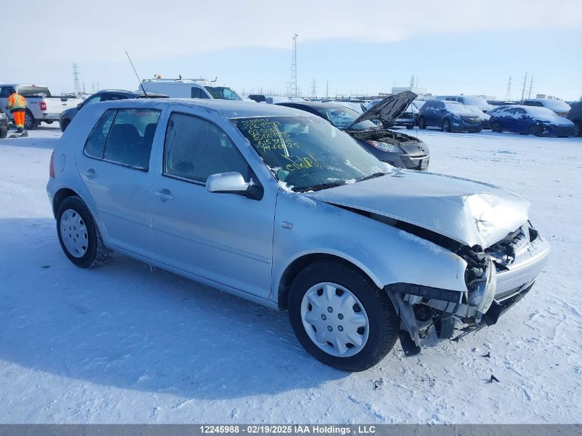2007 Volkswagen City Golf 2.0