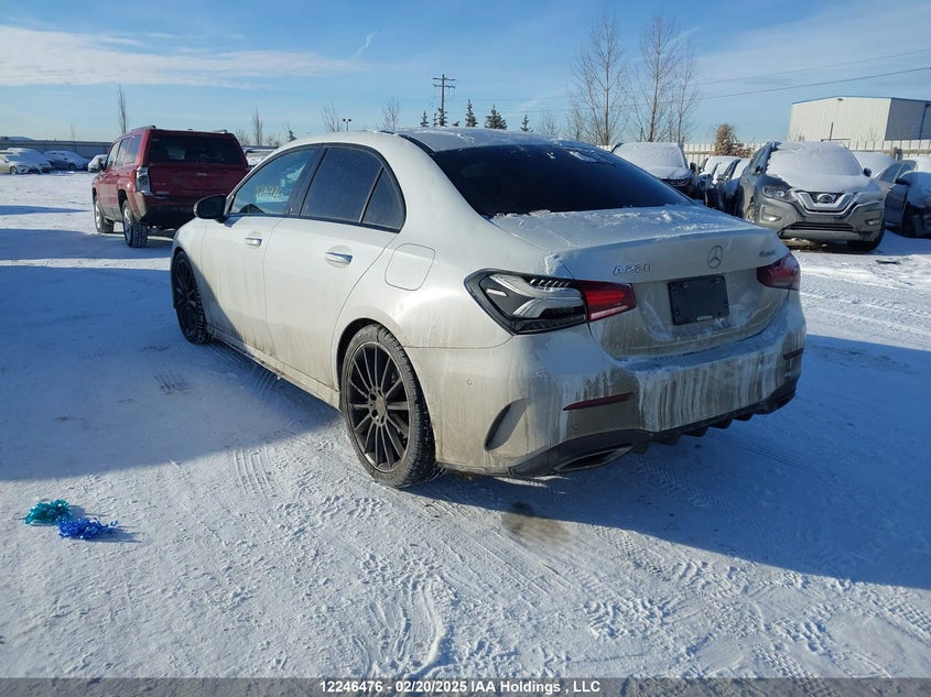 2020 Mercedes-Benz A 220 4Matic VIN: WDD3G4FB2LW041813 Lot: 12246476