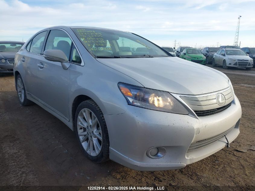 2010 Lexus Hs