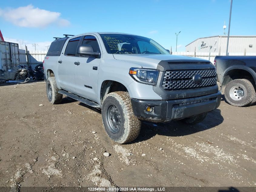 2021 TOYOTA TUNDRA PICKUP | 5TFDY5F13MX031408