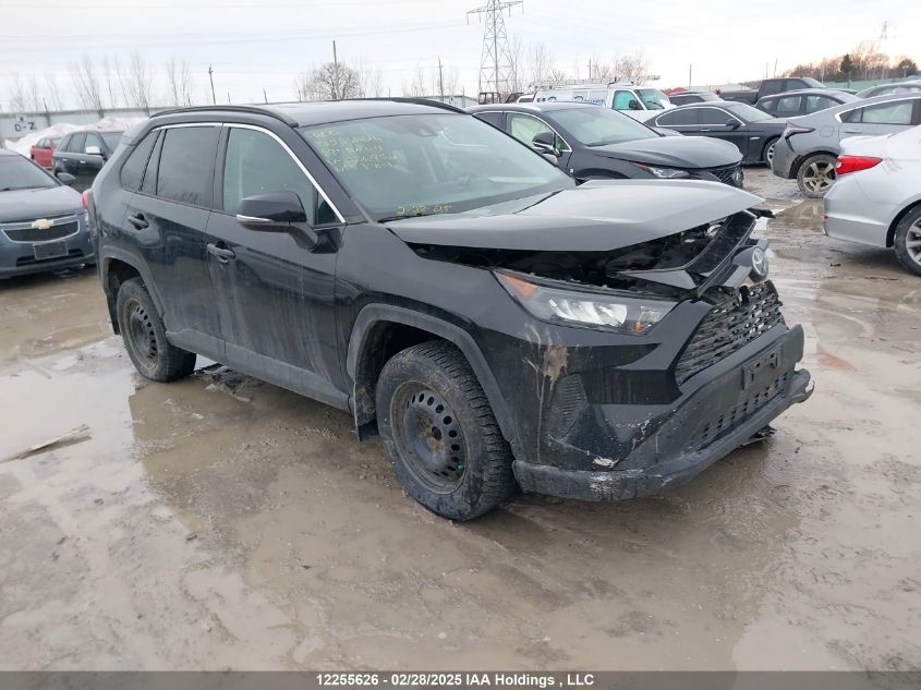 2019 Toyota Rav4 Le VIN: 2T3B1RFV7KC056952 Lot: 12255626