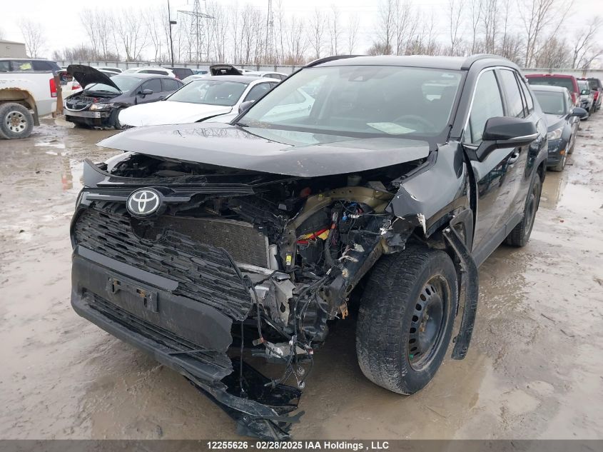 2019 Toyota Rav4 Le VIN: 2T3B1RFV7KC056952 Lot: 12255626