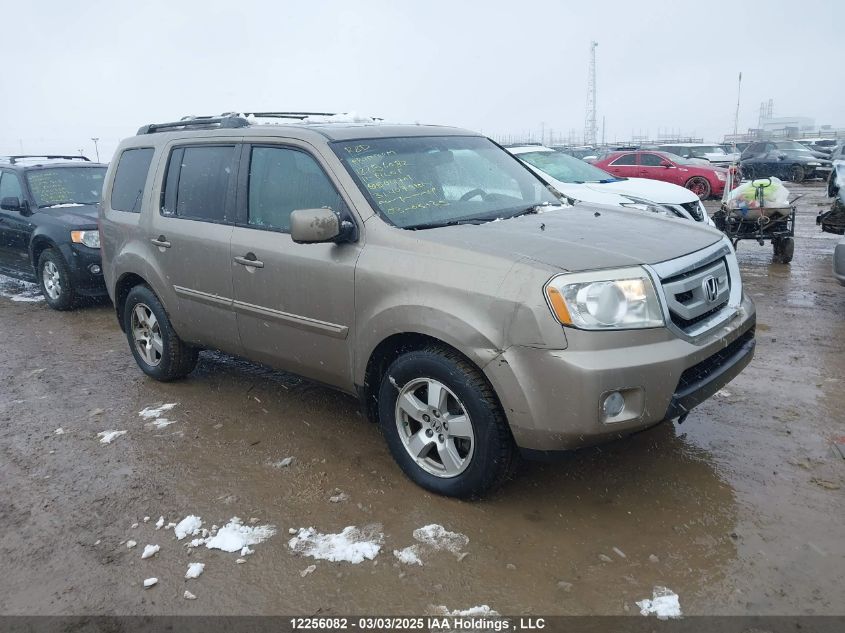 2011 Honda Pilot