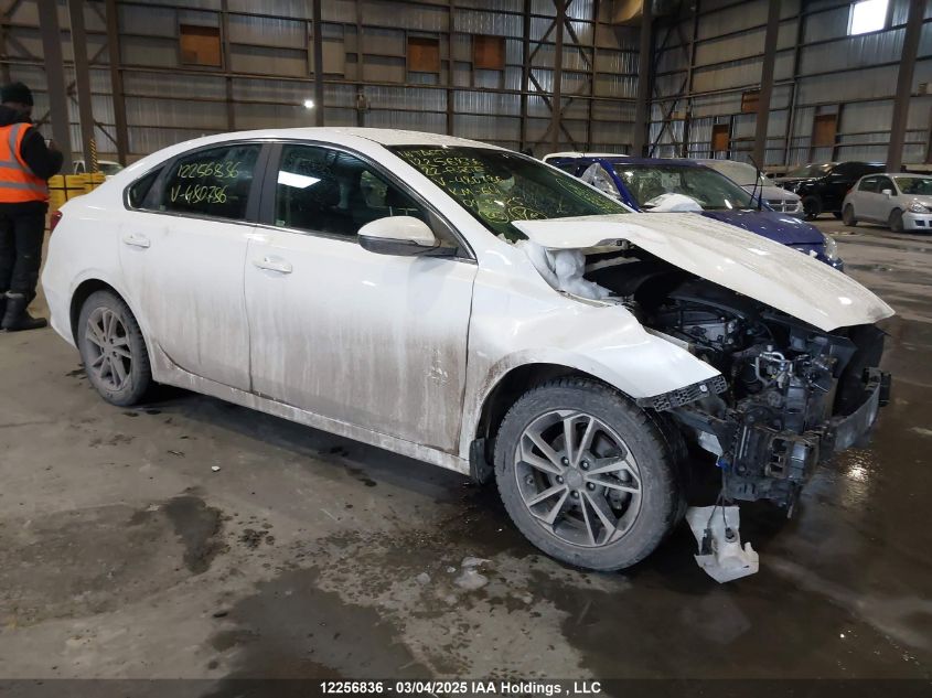 2022 Kia Forte VIN: 3KPF34AD5NE480786 Lot: 12256836