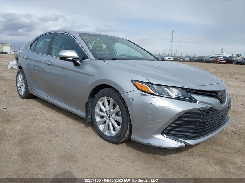 4T1B11HK2KU762819 2019 Toyota Camry L/Le/Xle/Se/Xse auction photo 1