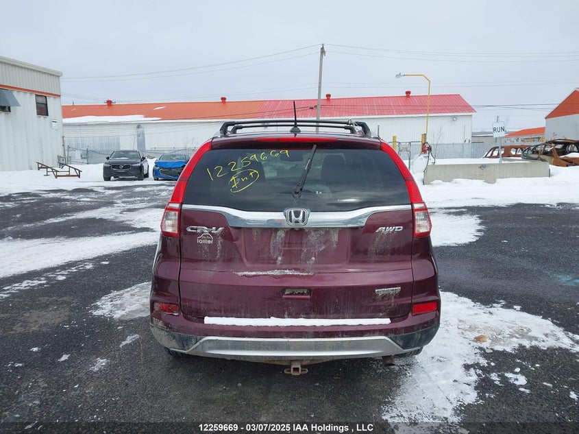 2015 Honda Cr-V VIN: 5J6RM4H95FL804186 Lot: 12259669