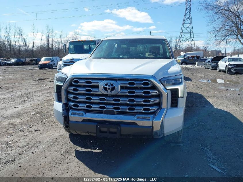 2024 Toyota Tundra Crewmax Platinum/Crewmax 1794 VIN: 5TFMA5EC4RX031108 Lot: 12262482