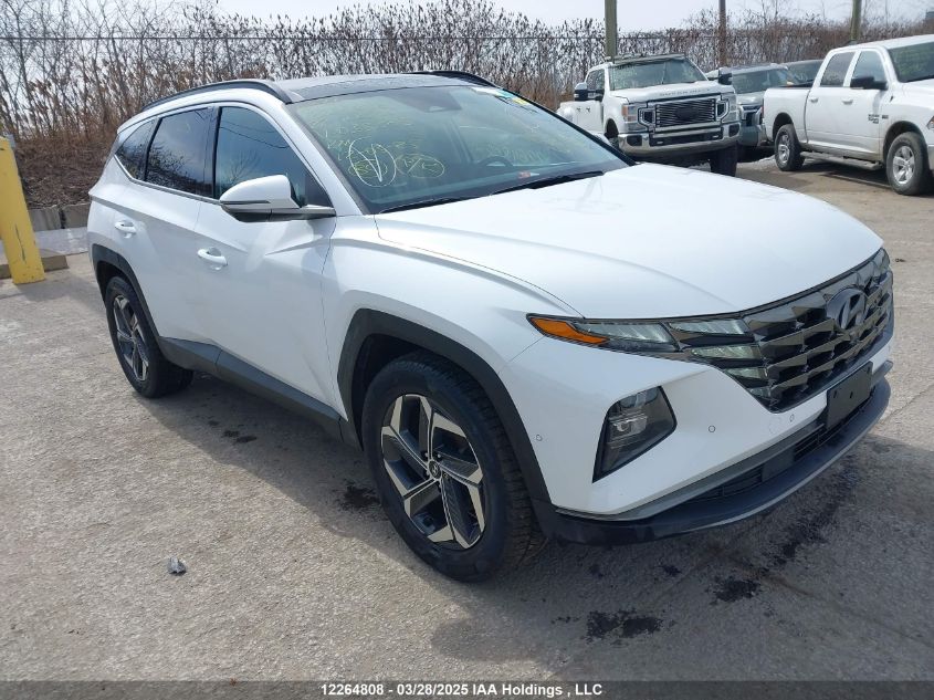 2022 Hyundai Tucson Hybrid VIN: KM8JCCA11NU033363 Lot: 12264808