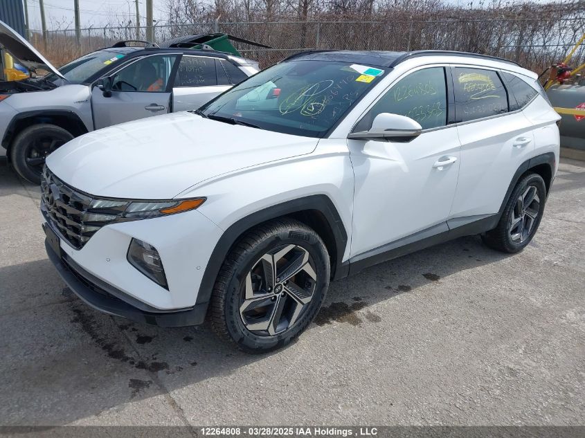 2022 Hyundai Tucson Hybrid VIN: KM8JCCA11NU033363 Lot: 12264808