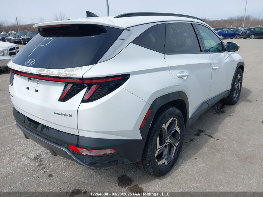 2022 Hyundai Tucson Hybrid VIN: KM8JCCA11NU033363 Lot: 12264808