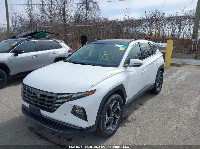 2022 Hyundai Tucson Hybrid VIN: KM8JCCA11NU033363 Lot: 12264808