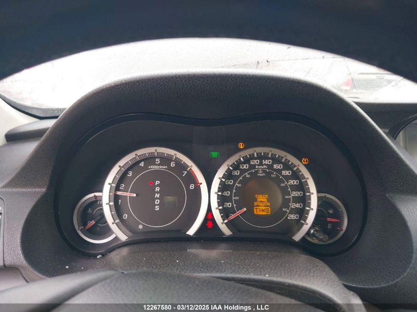 2009 Acura Tsx VIN: JH4CU26659C802773 Lot: 12267580