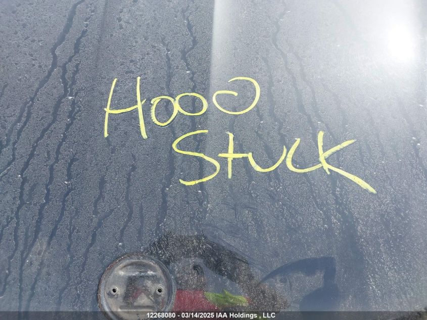 2004 BMW X5 3.0I VIN: 5UXFA13564LU42238 Lot: 12268080