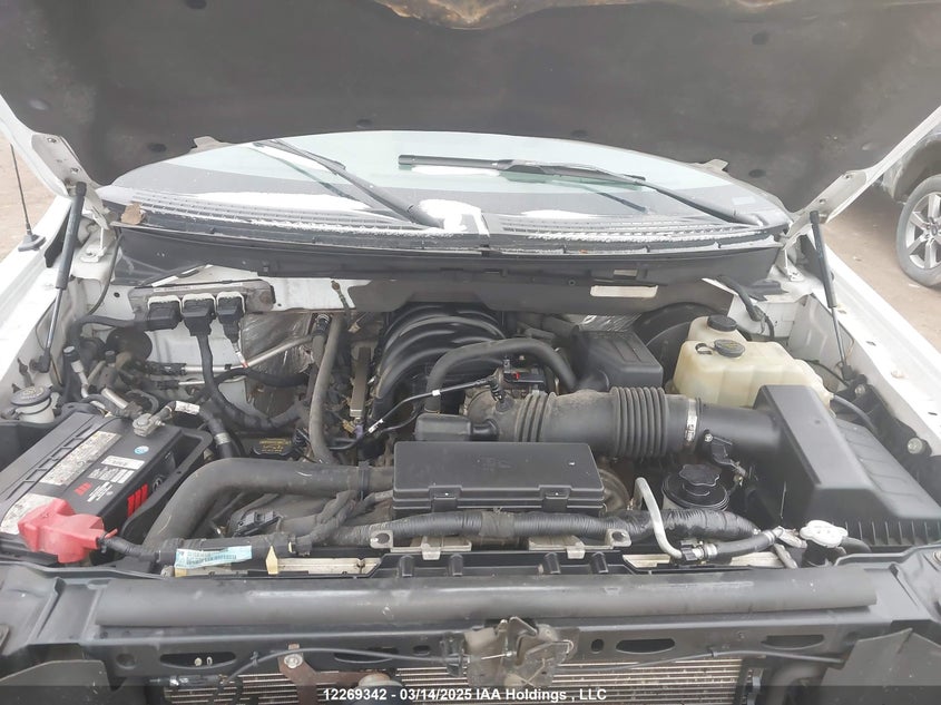 1FTRX14899FA29533 2009 FORD F-150 photo no. 10