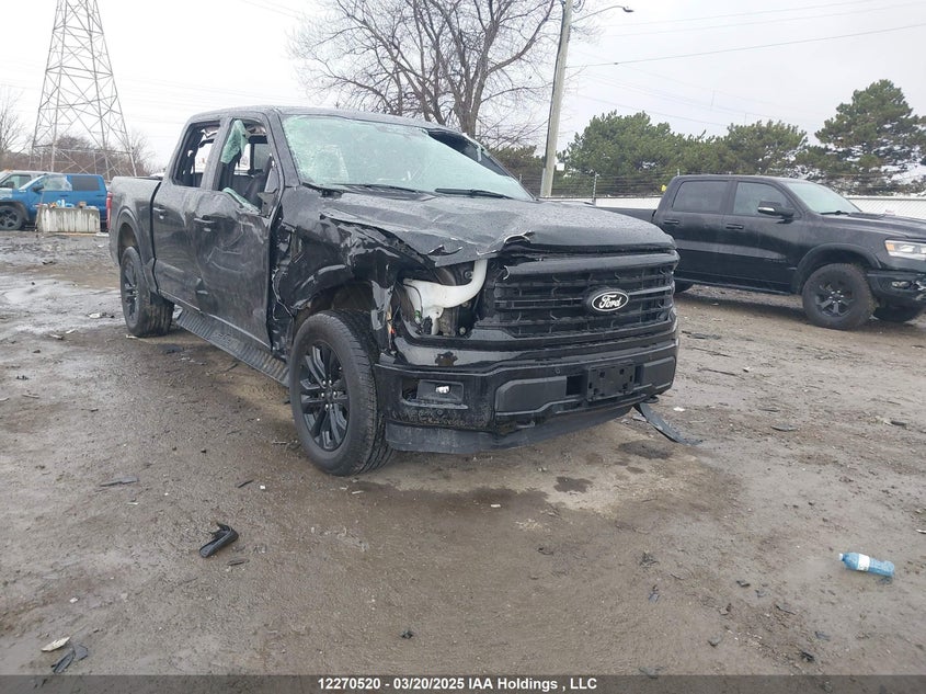 1FTEW3LP5RFB31031 2024 Ford F-150 Xlt auction photo 1