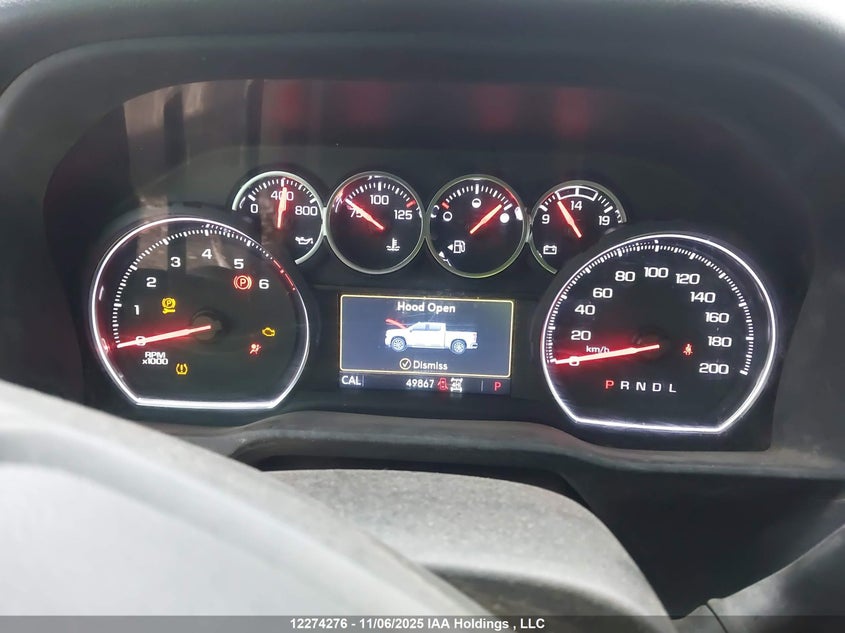 2GC4YNE74P1726732 2023 CHEVROLET SILVERADO photo no. 7