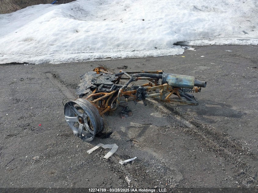 3JB2FEG40KJ000548 2019 CAN-AM/ BRP RYKER photo no. 12