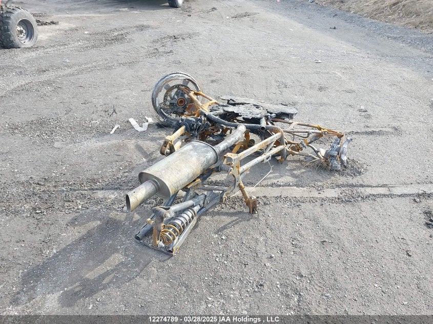 3JB2FEG40KJ000548 2019 CAN-AM/ BRP RYKER photo no. 4