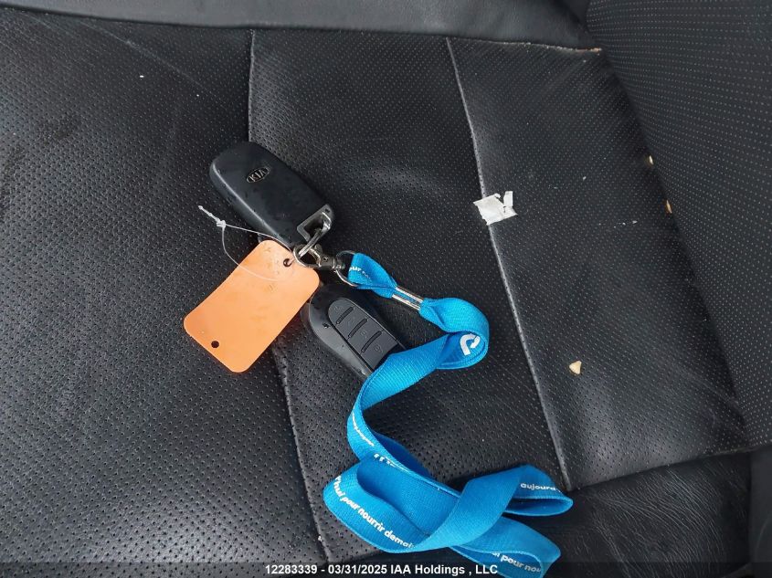 2013 Kia Optima Ex VIN: KNAGN4A67D5430804 Lot: 12283339