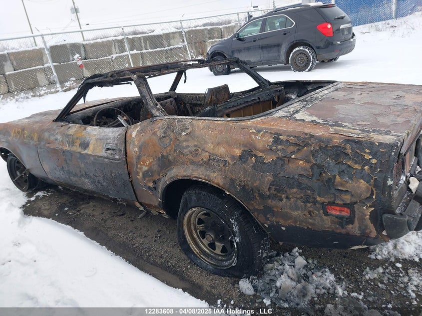 1973 Ford Mustang VIN: 3F03F119944 Lot: 12283608