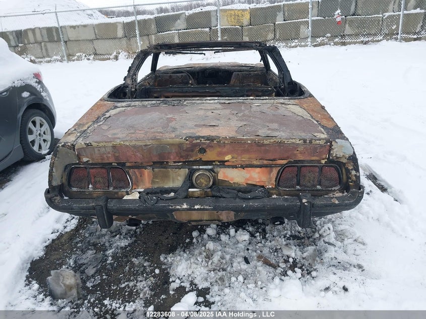 1973 Ford Mustang VIN: 3F03F119944 Lot: 12283608