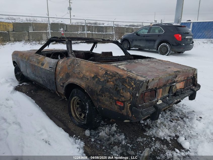 3F03F119944 1973 FORD MUSTANG photo no. 3