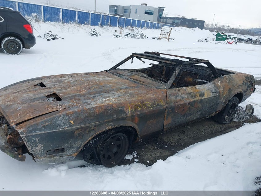 1973 Ford Mustang VIN: 3F03F119944 Lot: 12283608