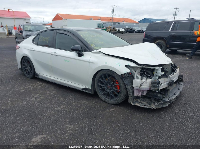 4T1NZ1AK7LU044264 2020 Toyota Camry auction photo 1