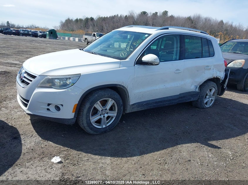 WVGBV7AX2AW535159 2010 VOLKSWAGEN TIGUAN photo no. 2