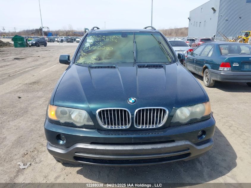 2002 BMW X5 3.0I VIN: 5UXFA53522LV72280 Lot: 12289338