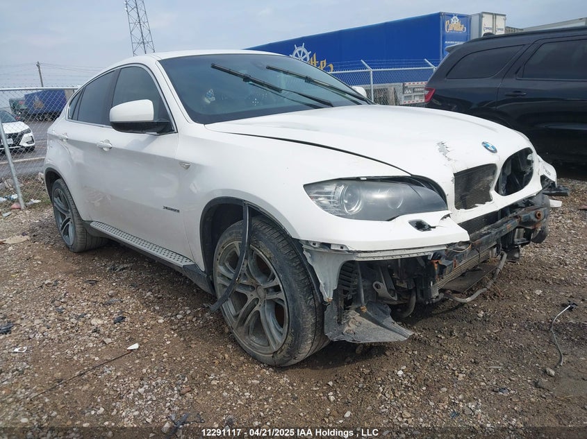 2011 BMW X6 xDrive50I VIN: 5UXFG8C53BLZ95658 Lot: 12291117
