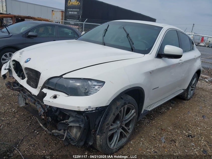 2011 BMW X6 xDrive50I VIN: 5UXFG8C53BLZ95658 Lot: 12291117