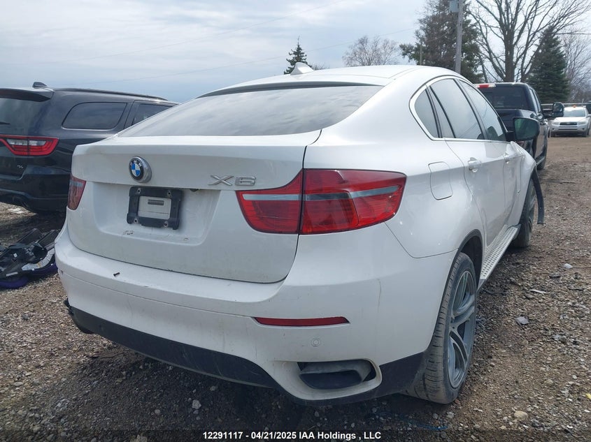 2011 BMW X6 xDrive50I VIN: 5UXFG8C53BLZ95658 Lot: 12291117