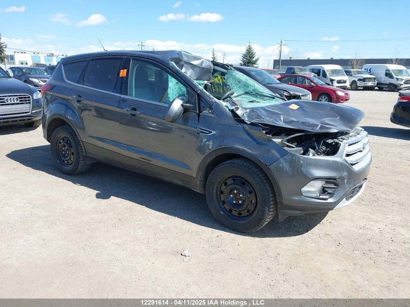 1FMCU9GD6KUB35814 2019 Ford Escape Se auction photo 1