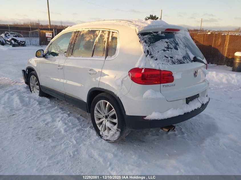WVGJV3AX8EW610439 2014 VOLKSWAGEN TIGUAN photo no. 3