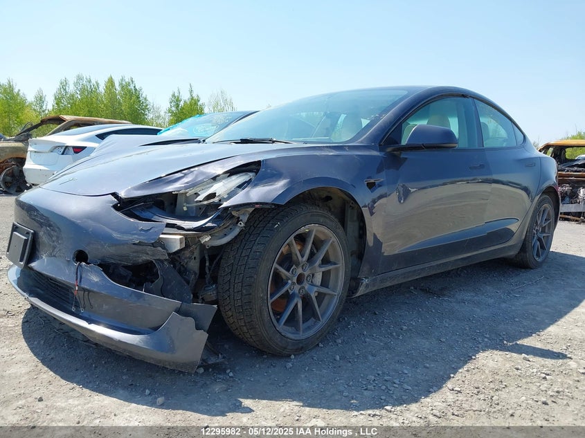 2022 Tesla Model 3 VIN: 5YJ3E1EA9NF355117 Lot: 12295982