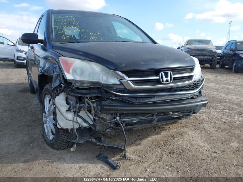 2010 Honda Cr-V Ex VIN: 5J6RE4H53AL805372 Lot: 12296474