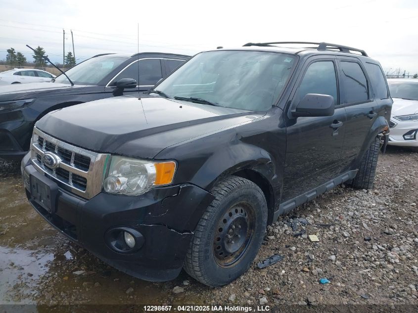 2011 Ford Escape Xlt VIN: 1FMCU9DG7BKA23145 Lot: 12298657