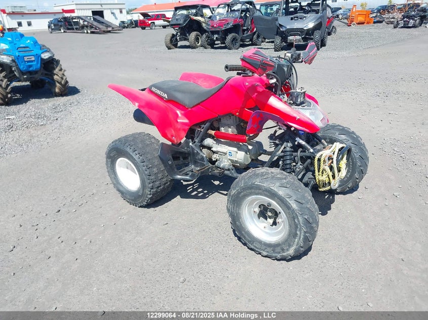 1HFTE2727D4300141 HONDA TRX250 Photo 1