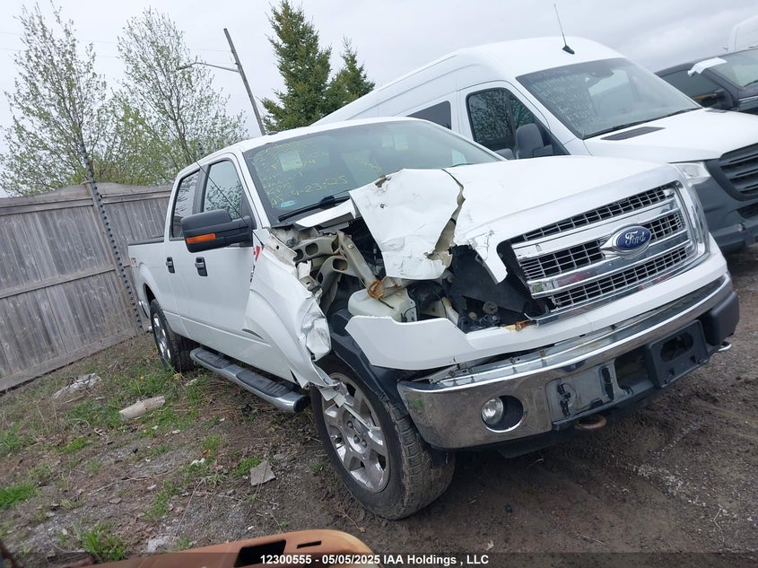 1FTFW1EF2DKF39726 2013 Ford F150 Supercrew auction photo 1