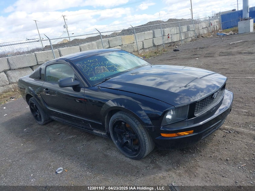 2005 Ford Mustang VIN: 1ZVFT80N055126815 Lot: 12301167